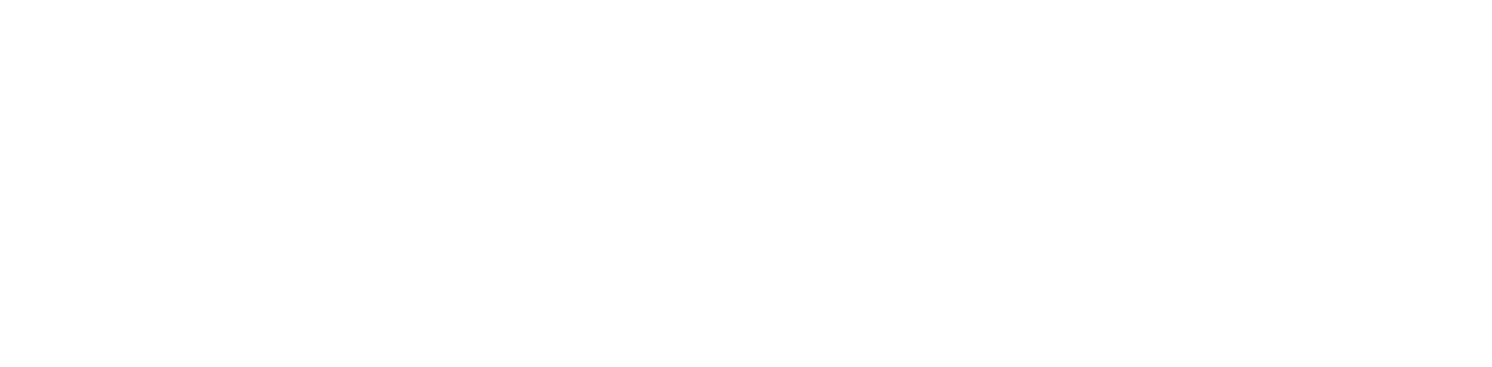 The Planning Partnership Logo